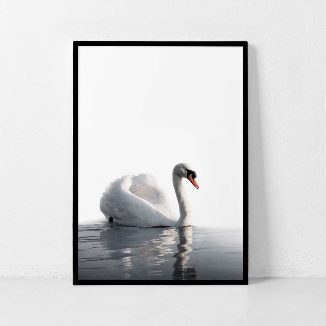White Swan on Calm Water Minimalist Nature Photography Poster