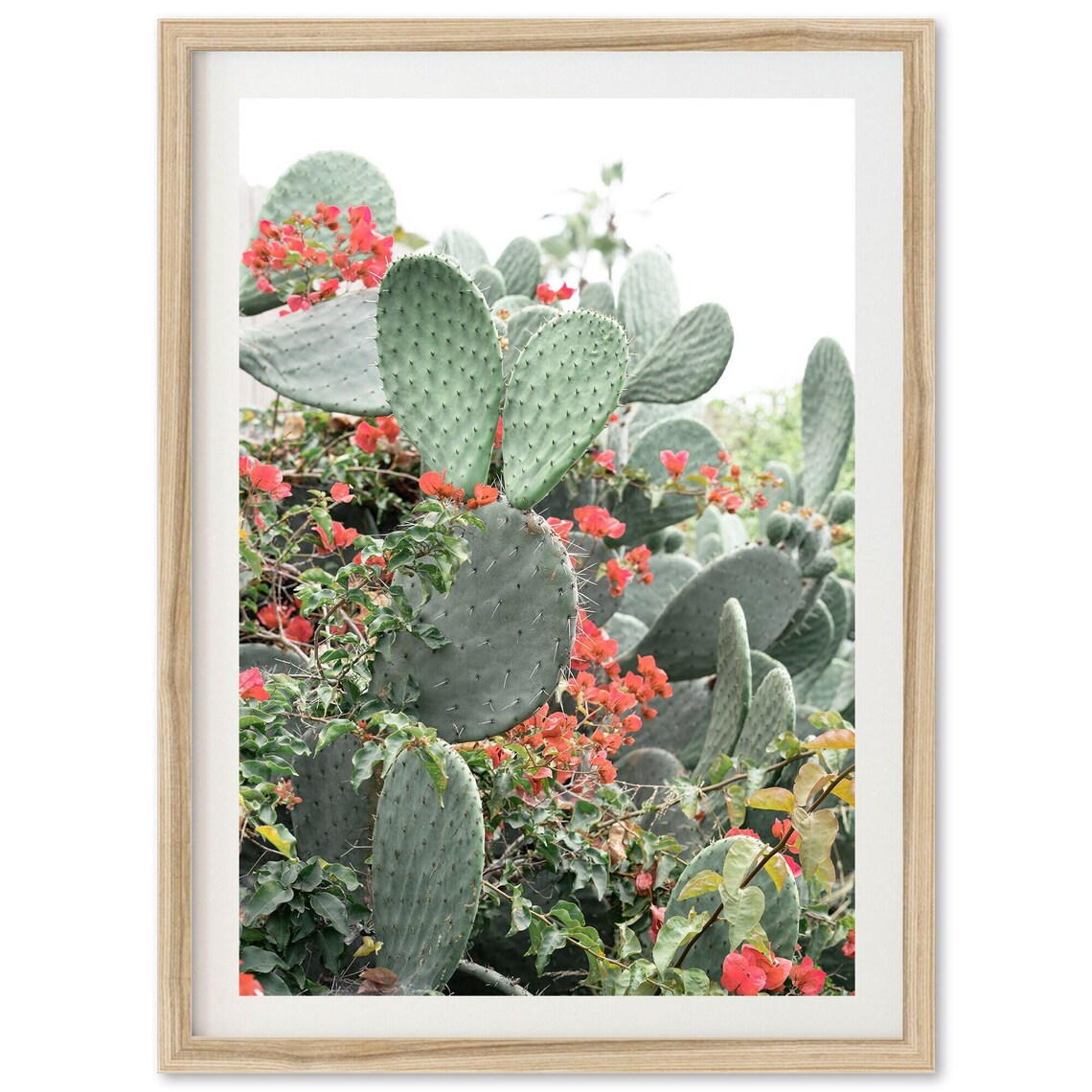 Cactus Flowers Boho Art Print, Beach Desert Decor