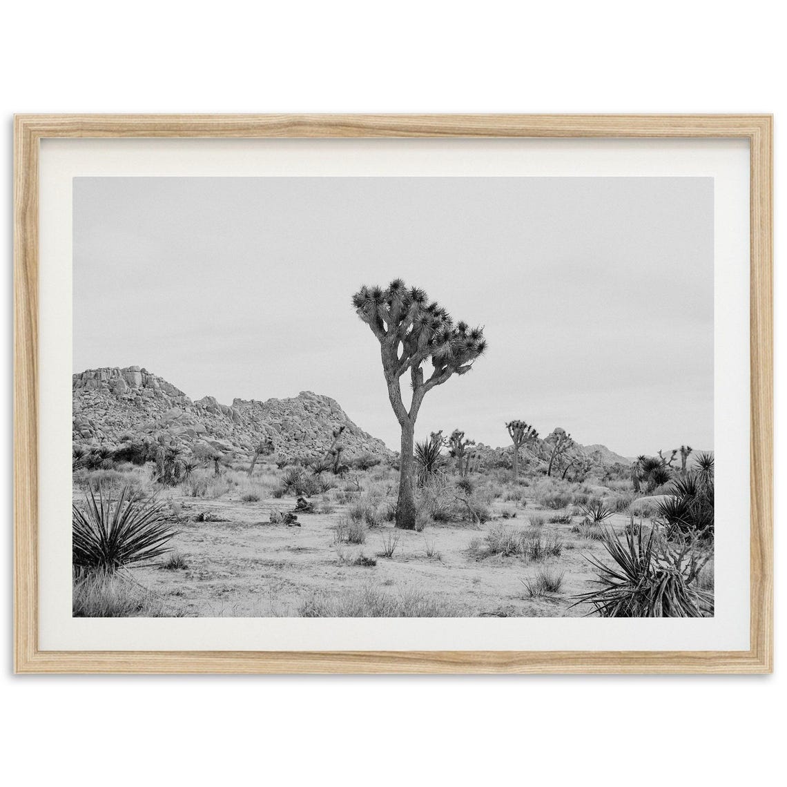 Lone Joshua Tree Desert Rock Ridge Black and White Art Print