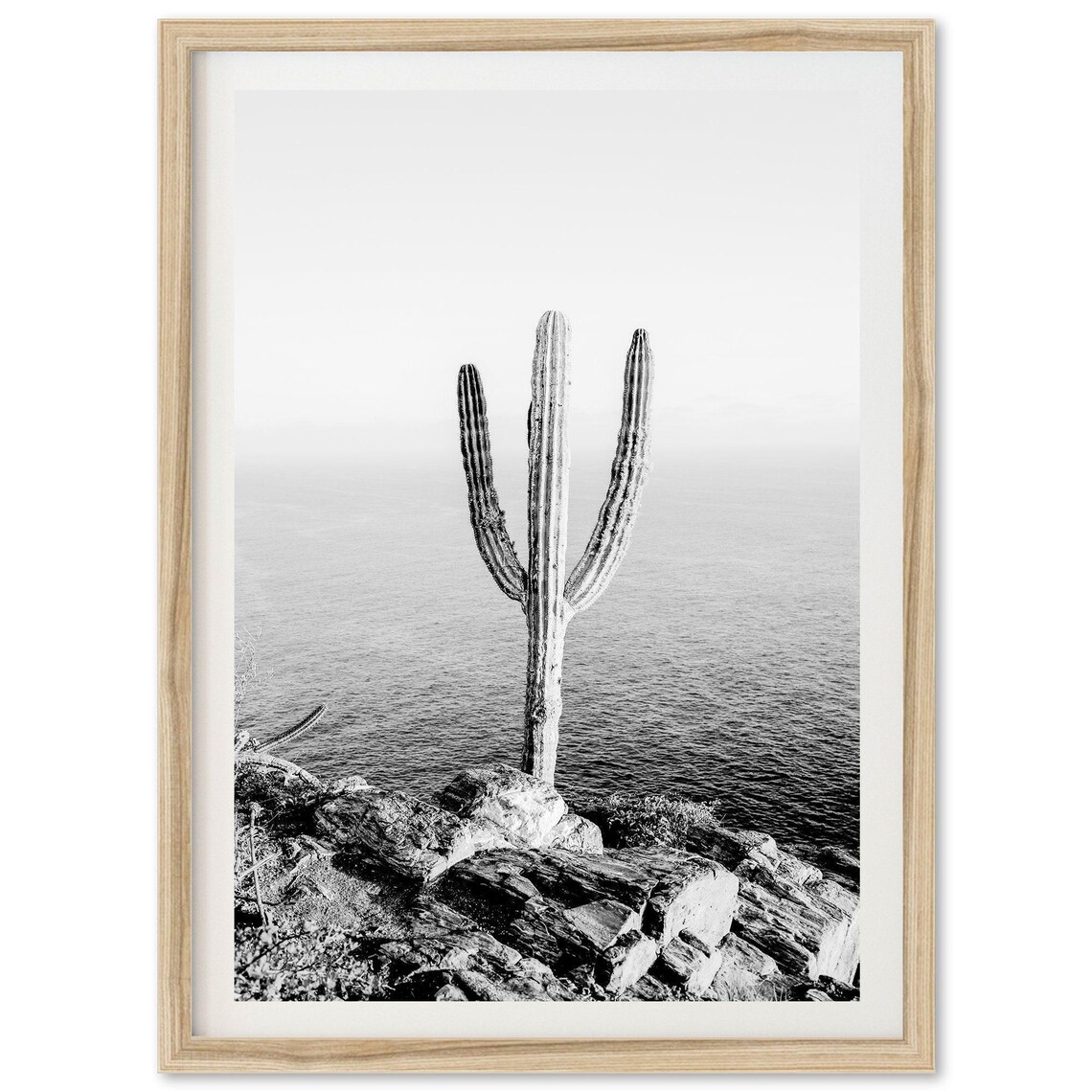Saguaro Cactus Ocean Cliff Black and White Coastal Photo Poster