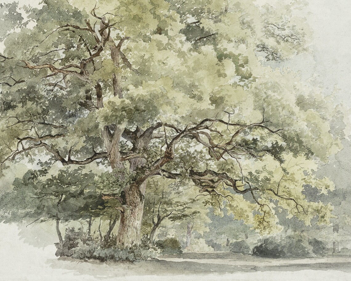 Classic Tree Watercolor Painting Art Print - Image 2