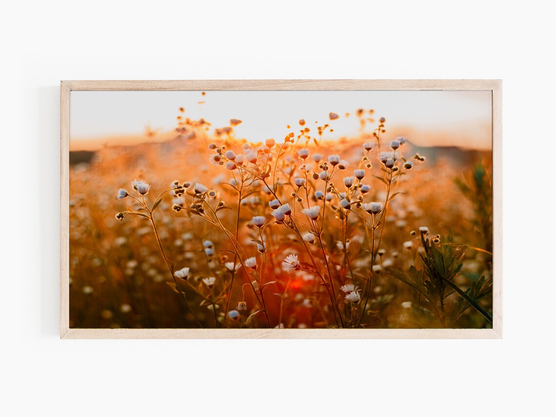 Autumn Landscape Bokeh Fall Landscape TV Art - Image 2
