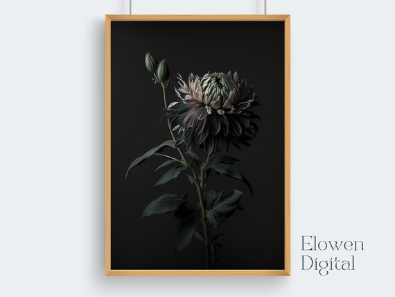 Dark Moody Chrysanthemum Flower On Black Background Wall Art