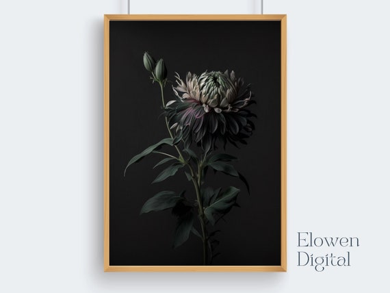 Moody Wall Art Chrysanthemum Dark Academia Decor Minimalist Wall Art Chrysanthemum Modern Wall Art Chrysanthemum