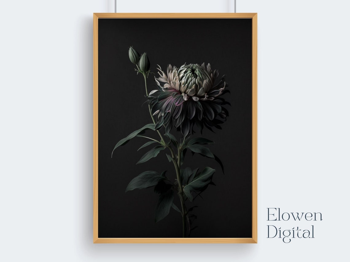Dark Moody Chrysanthemum Flower On Black Background Wall Art