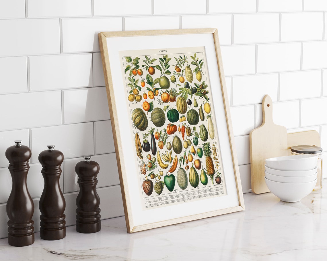 Vintage Fruits Botanical Chart Antique Fruit Illustration Poster - Image 3