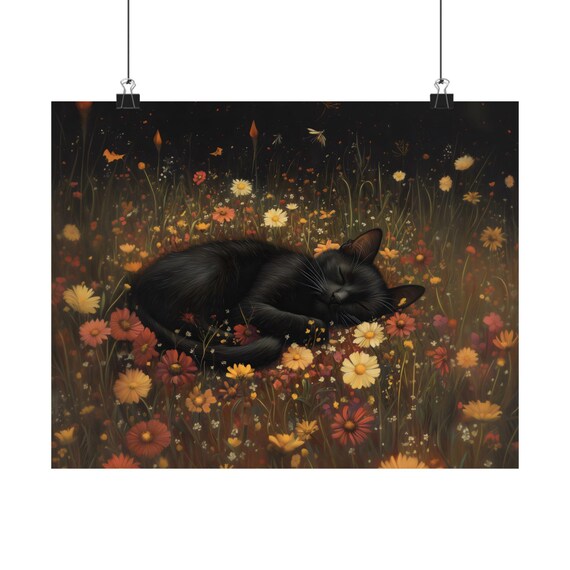 Black Cat Napping in Wild Daisy Meadow Under Starry Night Poster