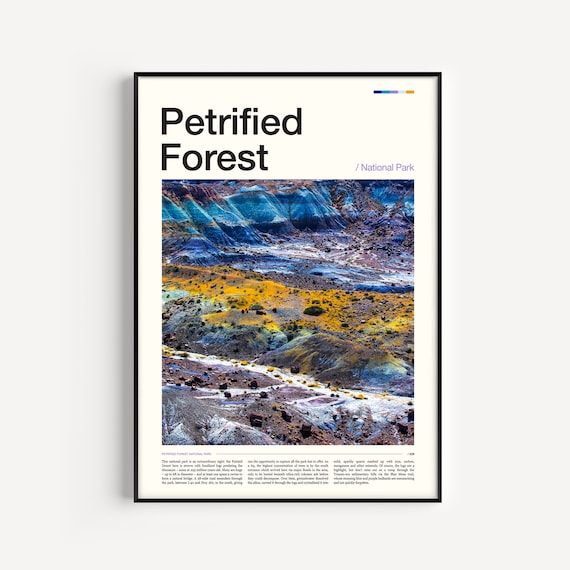 Petrified Forest National Park Painted Desert Badlands Editorial Travel Poster