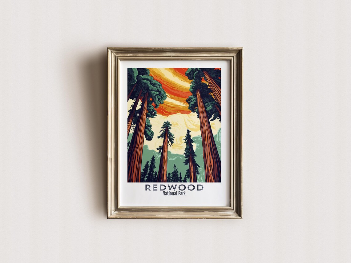 Redwood National Park California Towering Trees Sunset Sky Poster - Image 2