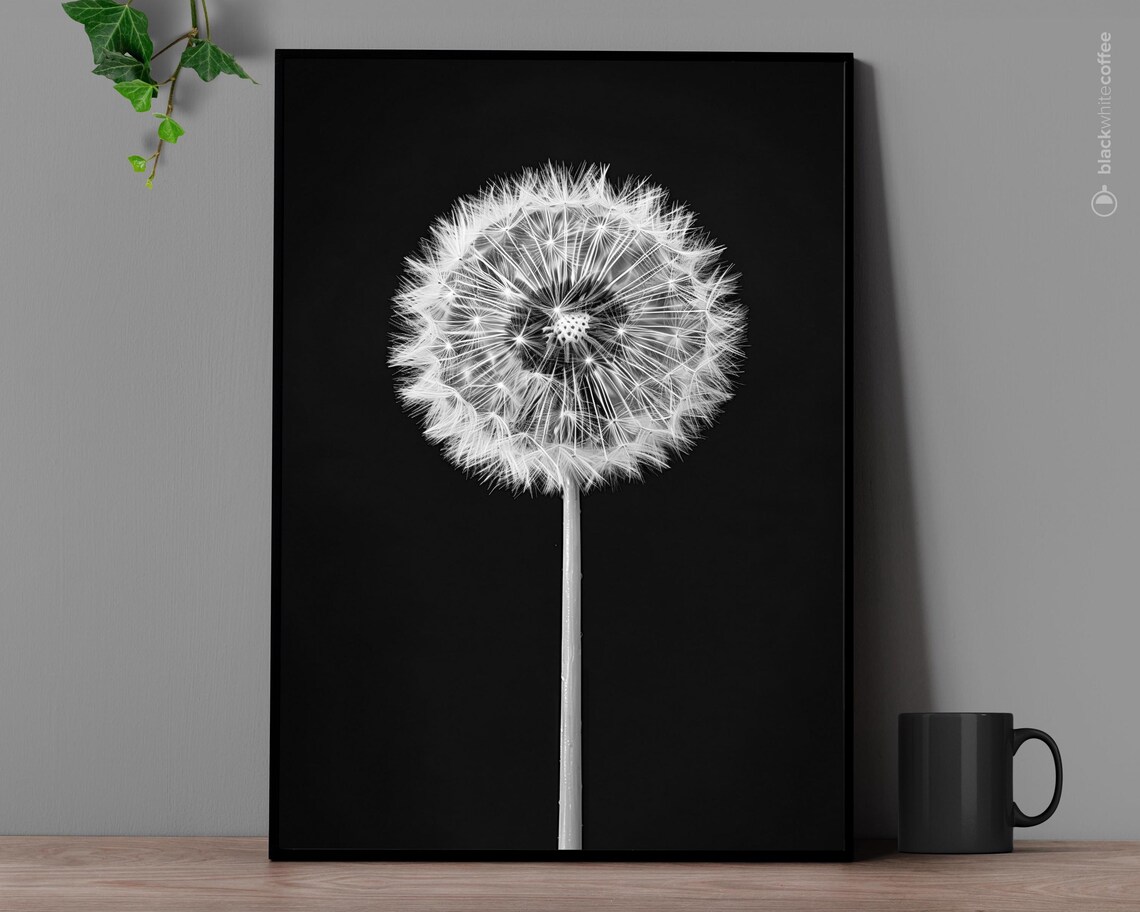 Black White Dandelion Seed Head Close Up Botanical Photo Poster