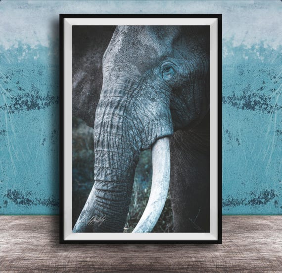 Elephant Wall Art Big Tusker African Safari Kenyan Sunset Colors