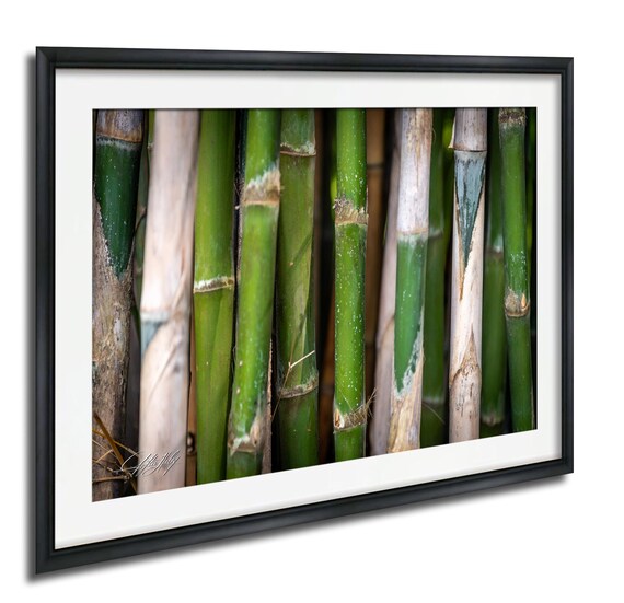 Tropical Bamboo Wall Art Botanical Nature Print Indonesia Landscape