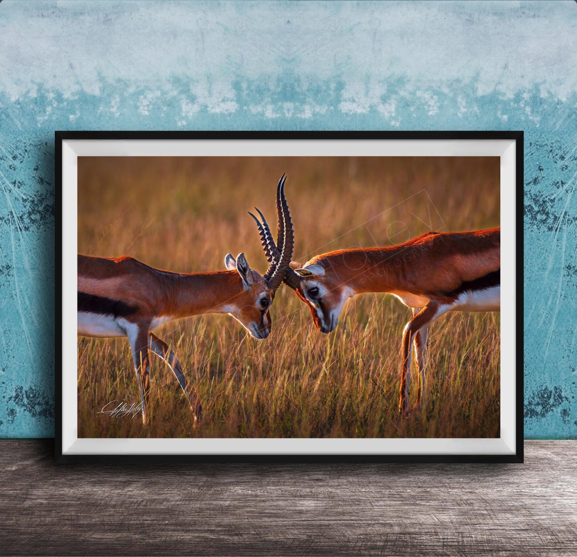 Thomson Gazelle Watercolor Print Golden Hour Africa