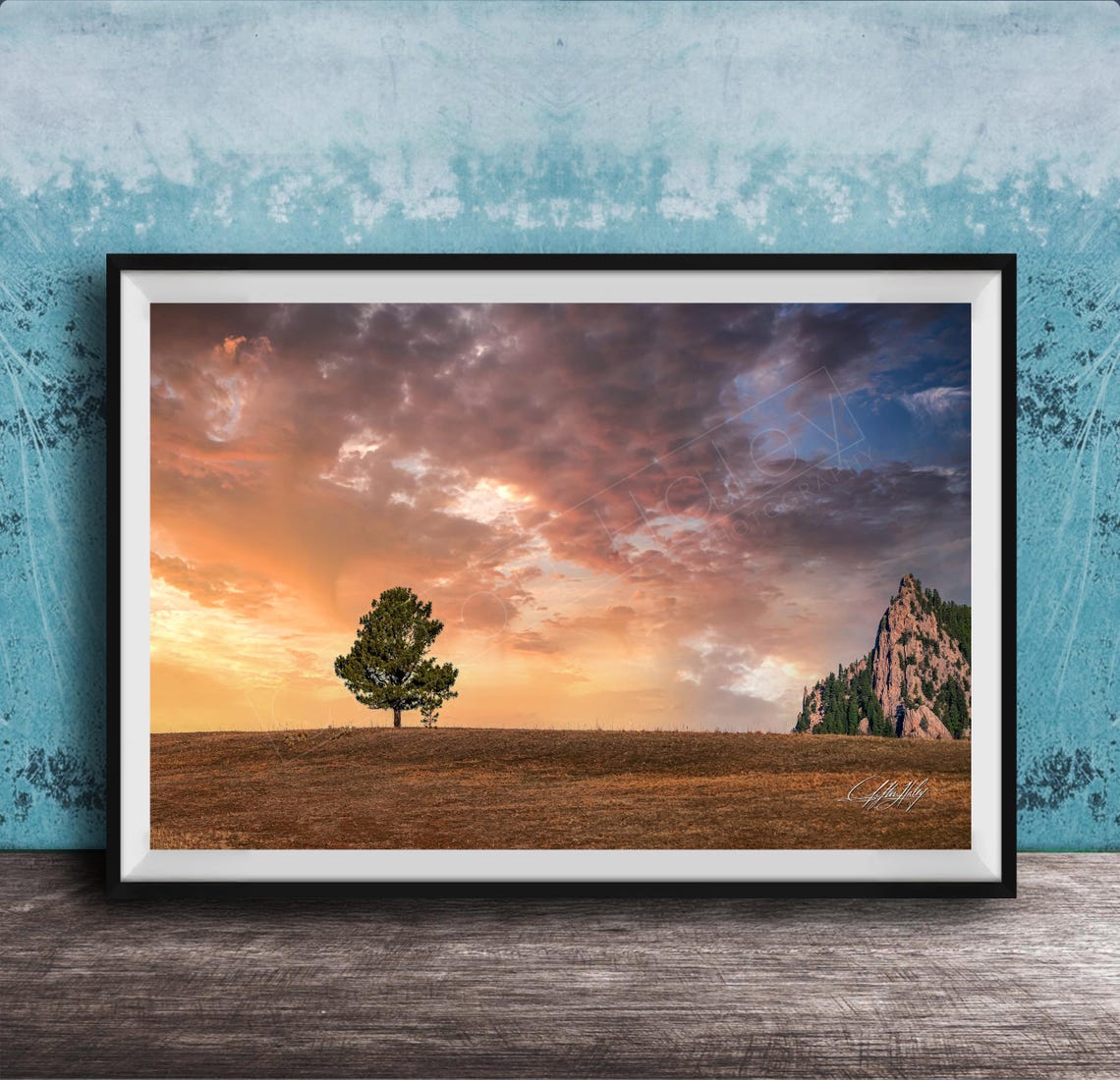 Evergreen Tree Wall Art Rocky Mountain Sunset Landscape