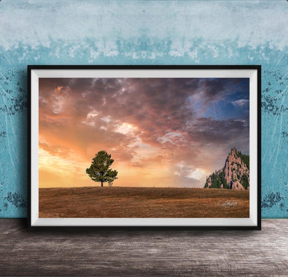 Evergreen Tree Wall Art Rocky Mountain Sunset Landscape