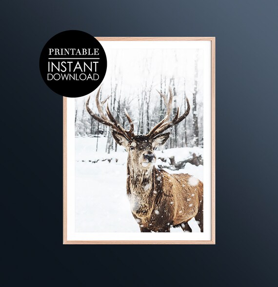 Majestic Stag Deer in Snowy Winter Forest Nature Photo Poster