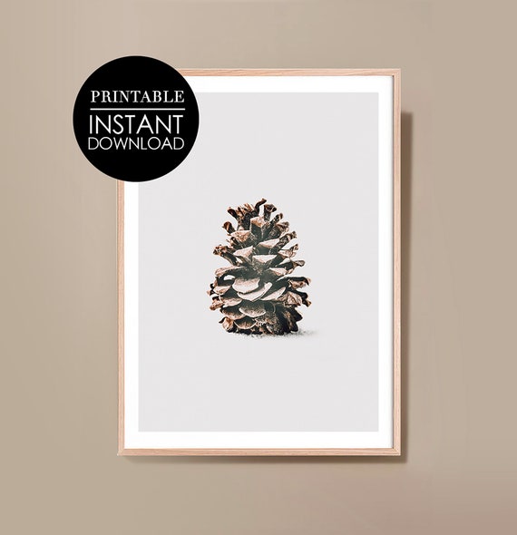 Pinecone Print Pine Botanical Winter Cone Wall Art Decor Minimalist