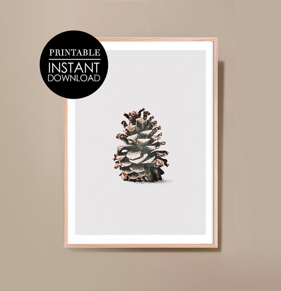 Rustic Pinecone Winter Botanical Minimalist Photography Poster