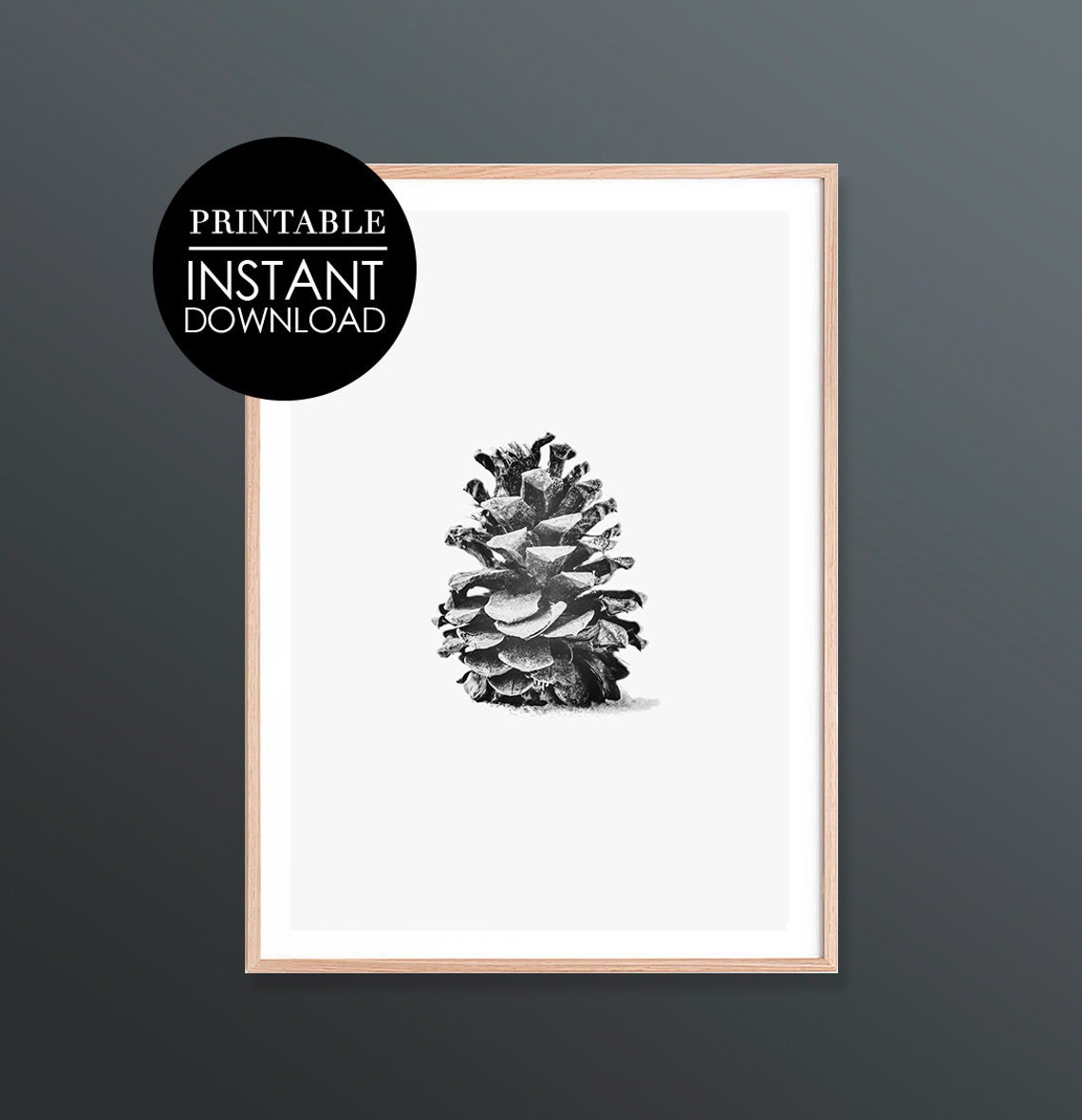 Black and White Pine Cone Minimalist Botanical Photo Art Poster
