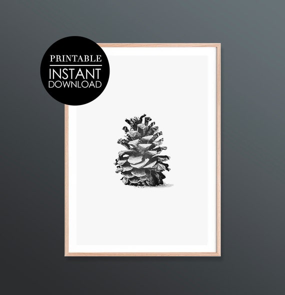 Pine Cone Print Botanical Wall Art Decor Holiday Black White Monochrome