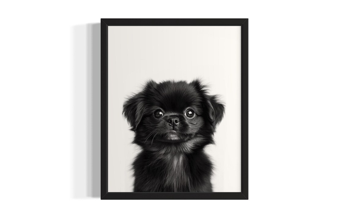 Tiny Black Fluffy Puppy Portrait Minimalist Black and White Wall Poster