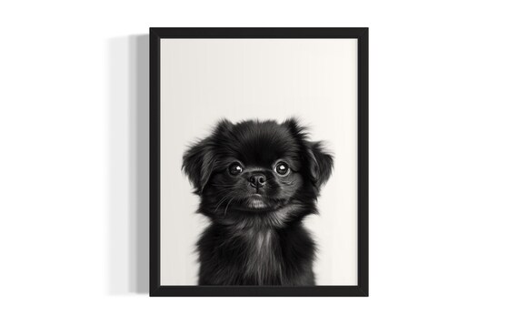 Tiny Black Fluffy Puppy Portrait Minimalist Black and White Wall Poster