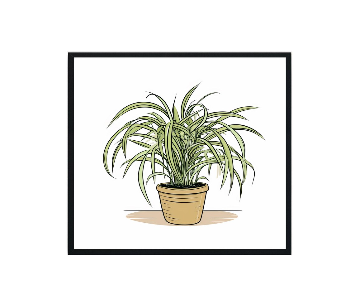 Spider Plants Art Print, Botanical Decor