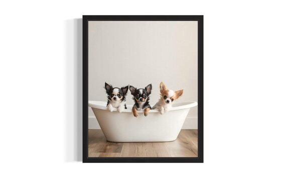 Three Tiny Chihuahua Puppies in a White Bathtub Cute Photo Poster