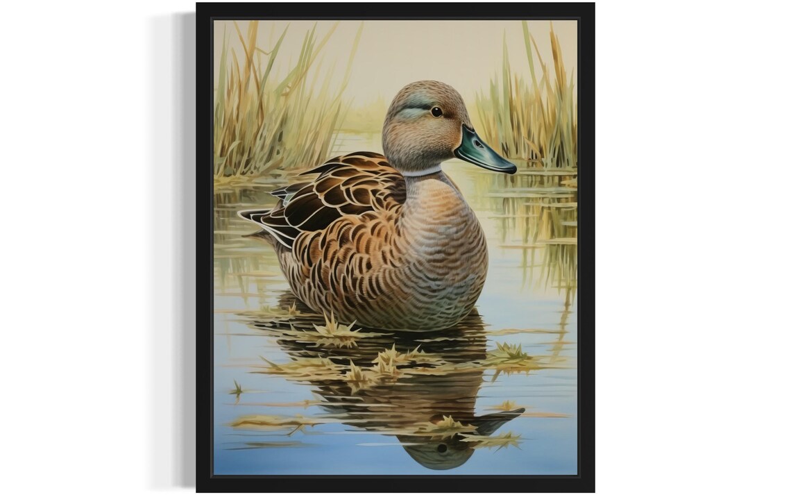Gadwall Duck Resting in Calm Marsh Water Vintage Waterfowl Duck Poster