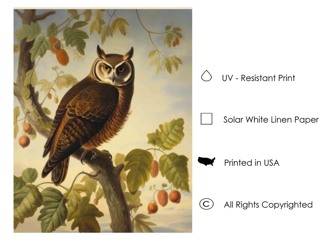 Great Horned Owl on a Fruiting Branch Vintage Bird Art Poster - Image 3