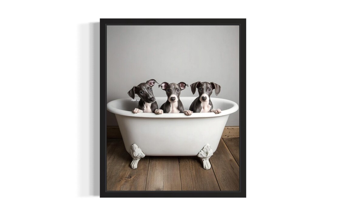 Three Greyhound Puppies In White Bathtub Sleek Dog Photo Poster