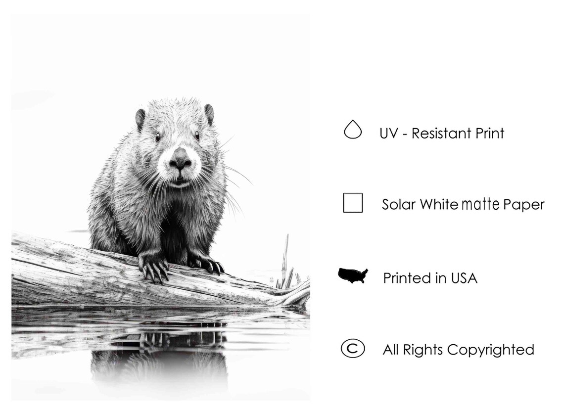 Beaver Resting on a Log Over Calm Water in Black and White Art Poster - Image 2
