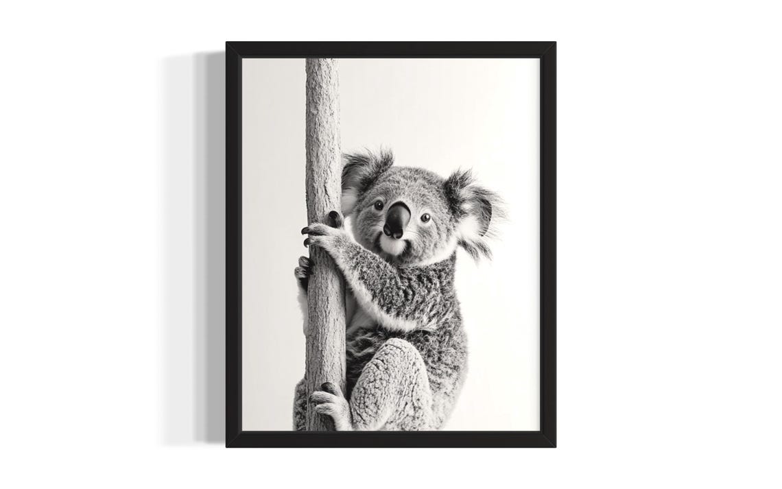 Koala Climbing Tree Black And White Portrait Cute Australian Poster