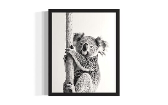 Koala Bear Animal Black And White Poster Art Print Living Room Wall Original Paint Artwork Decor
