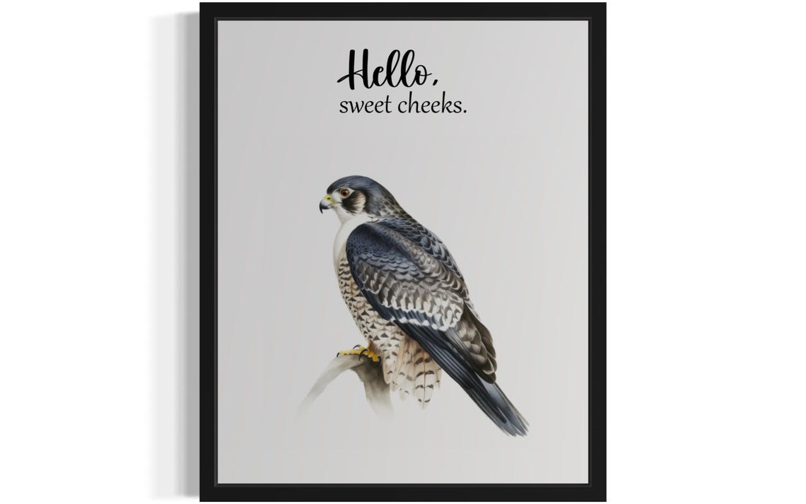 Falcon Hello Sweet Cheeks Funny Perched Bird Bathroom Poster