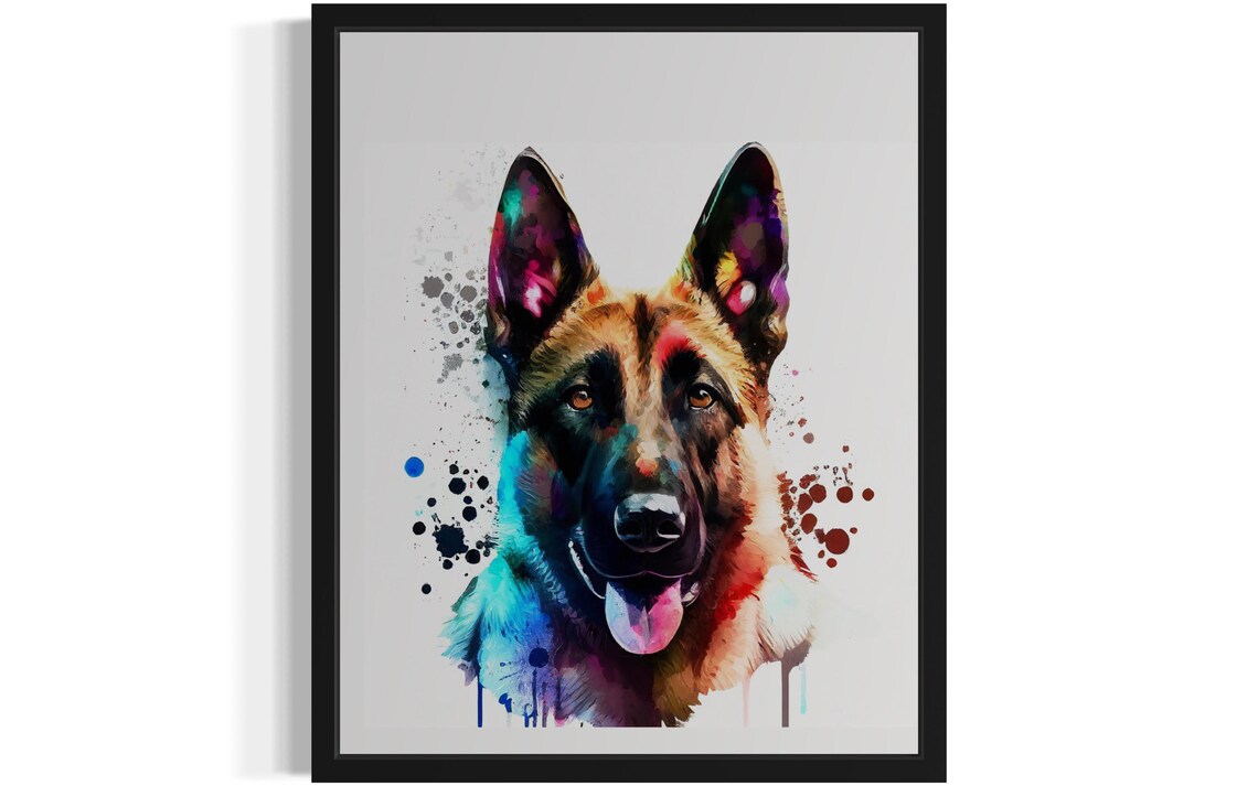Happy Belgian Shepherd Tan Coat Watercolor Splash Portrait Dog Poster