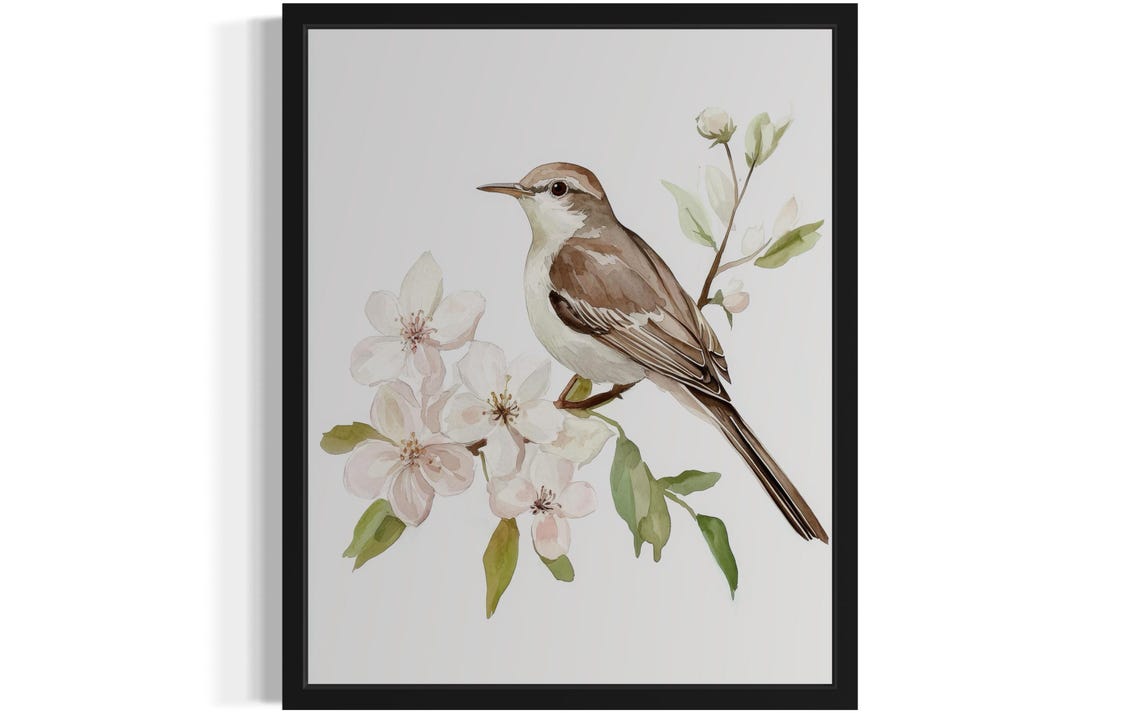 Northern Mockingbird On White Blossom Watercolor Bird Poster