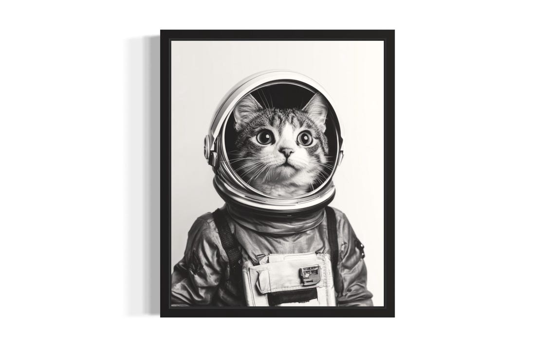 Astronaut Cat Black And White Poster Art Print Bathroom Wall Original Paint Artwork Decor