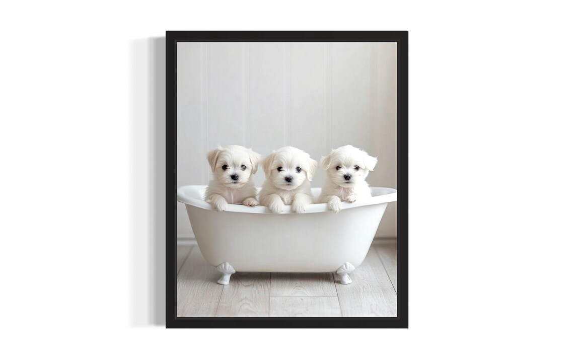 Three White Maltese Puppies in a Clawfoot Tub Adorable Bathroom Poster