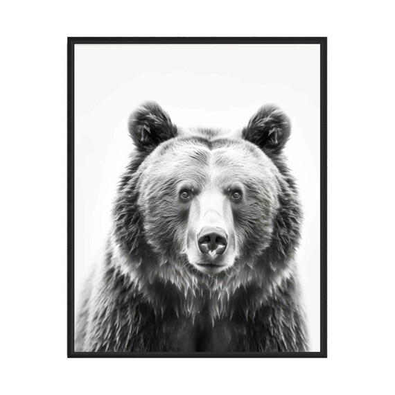 Brown Bear Black And White Animal Art Print Wall Poster Original Paint Artwork Decor