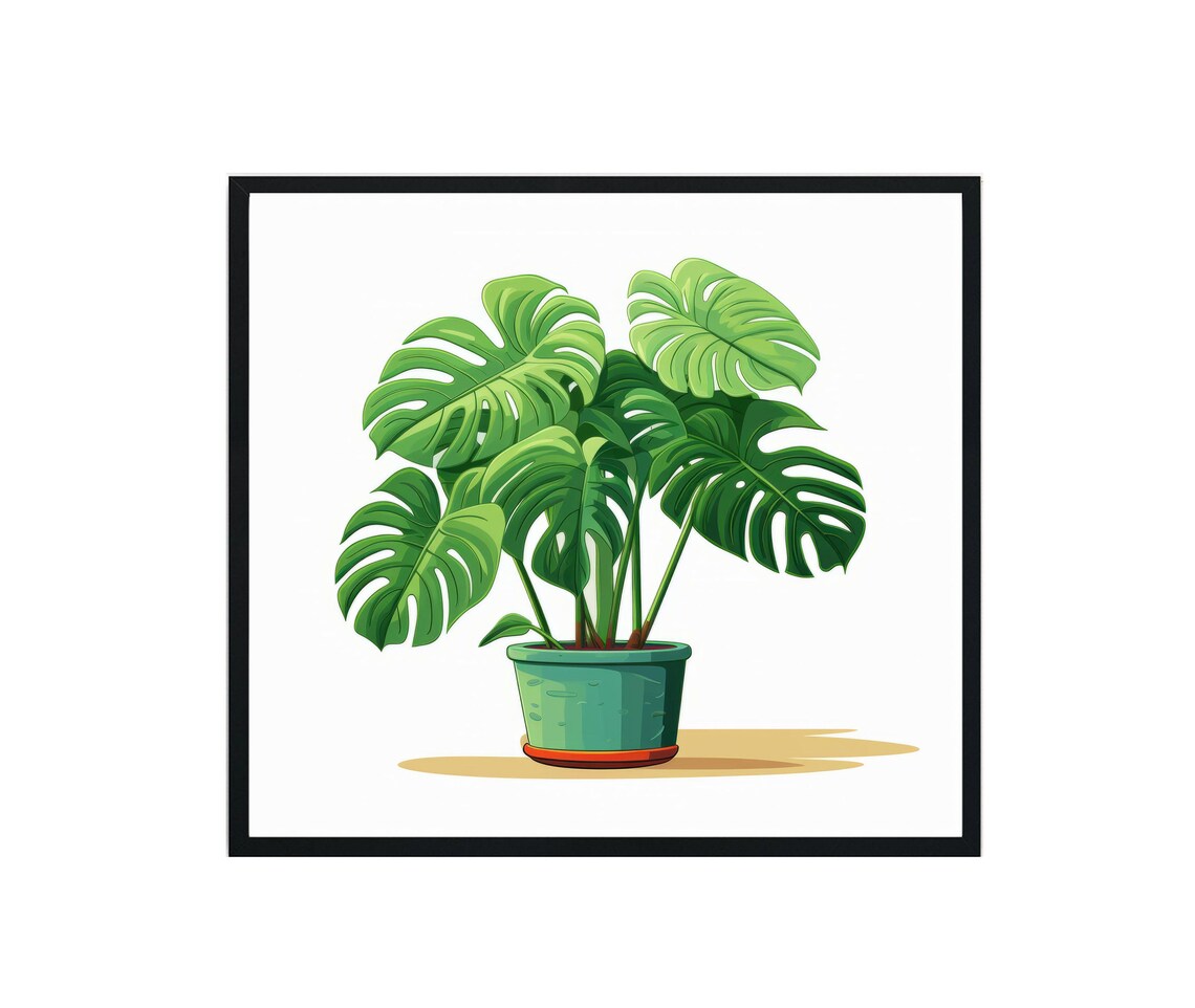 Monstera Deliciosa Plant Illustration Teal Pot Botanical Art Poster