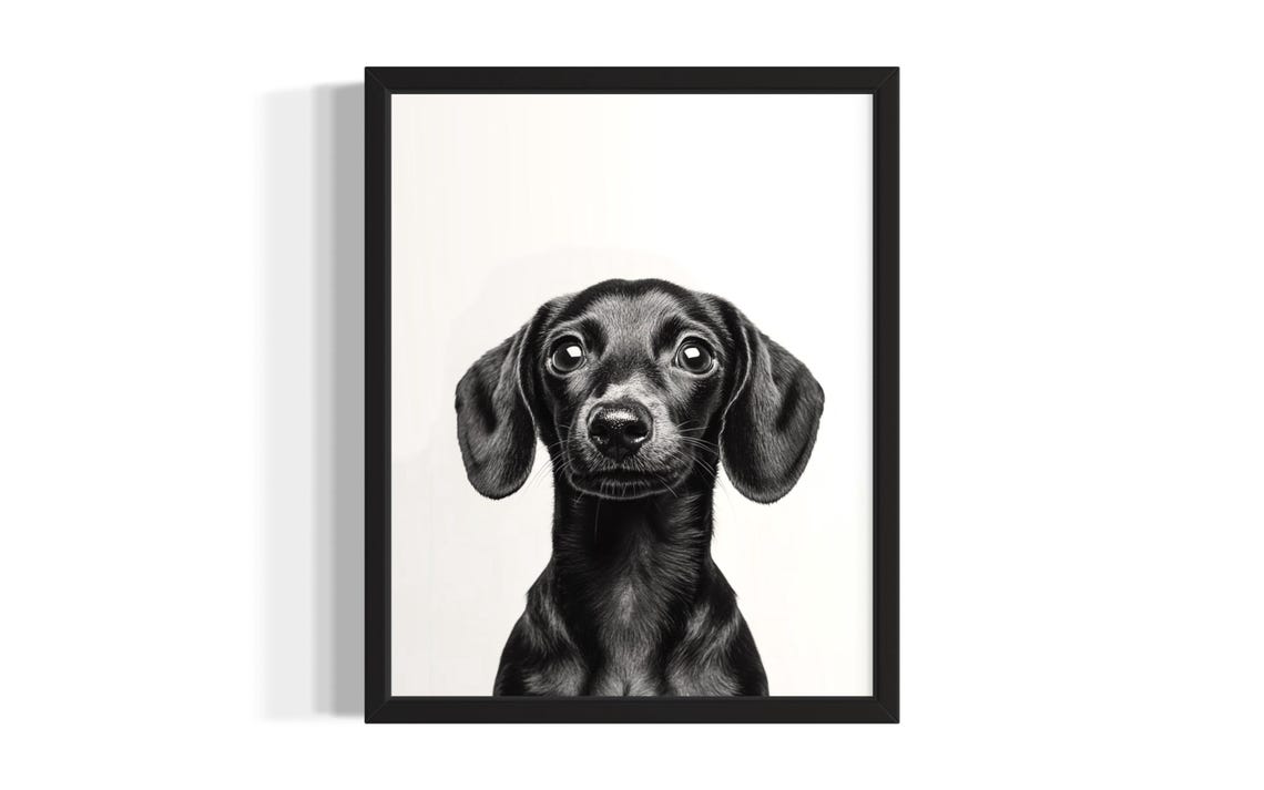 Dachshund Puppy Black And White Studio Portrait Dog Lover Poster