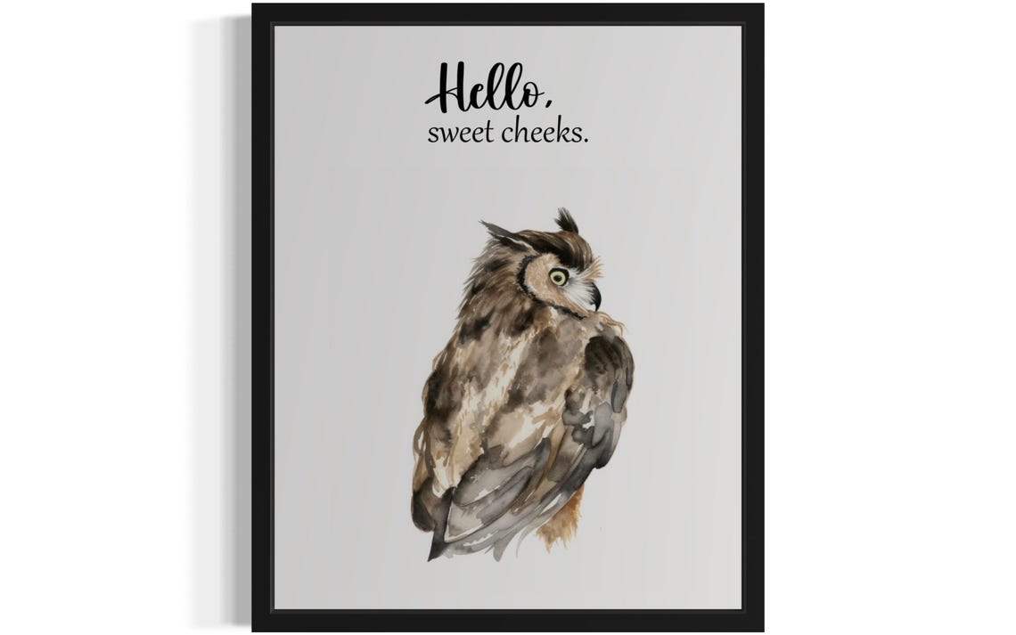 Hello Sweet Cheeks Brown Owl From Behind Bathroom Humor Poster