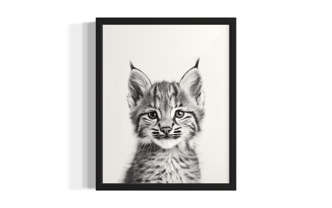 Sweet Baby Lynx Kitten Black and White Minimalist Animal Poster