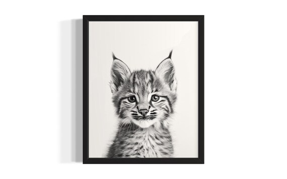 Sweet Baby Lynx Kitten Black and White Minimalist Animal Poster