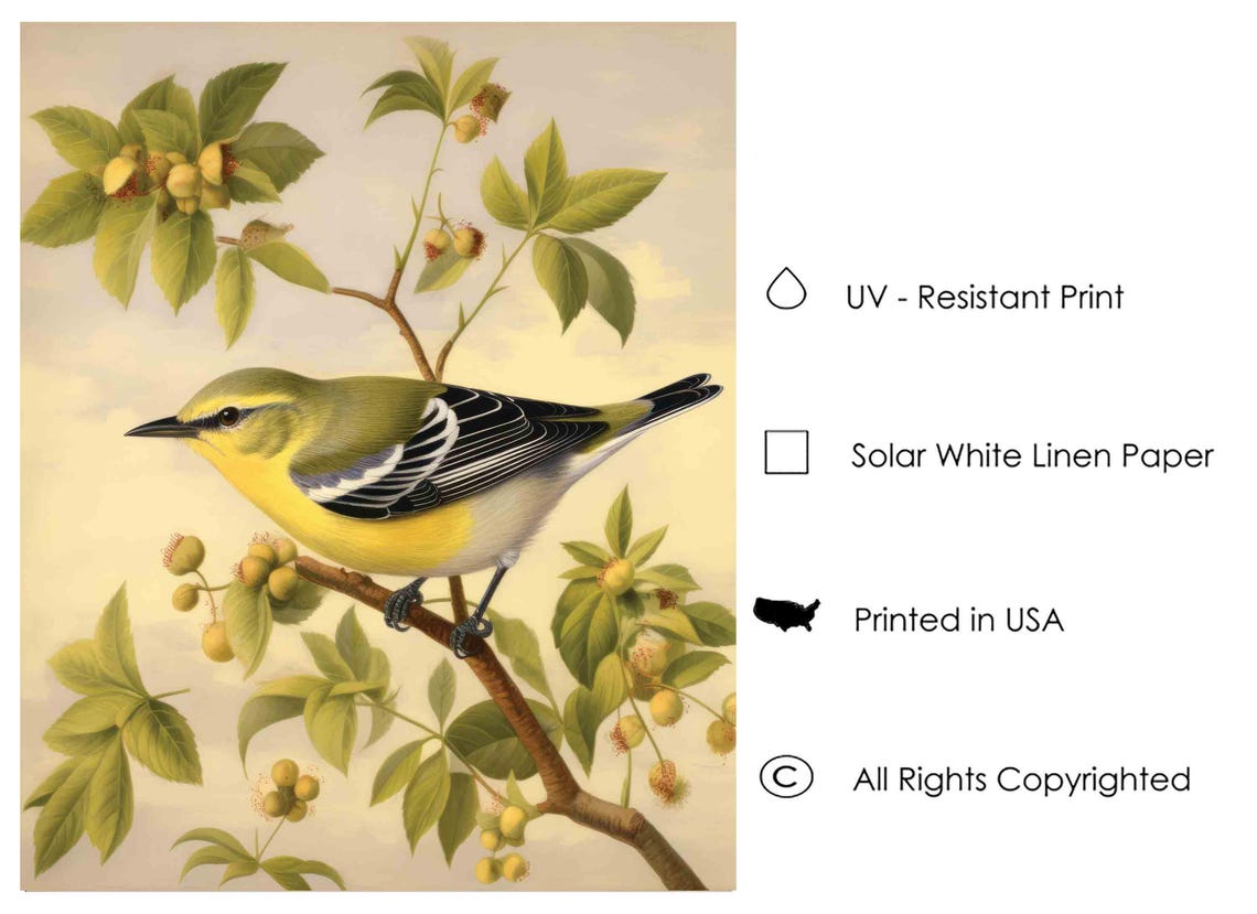 Yellow Warbler Perched on a Berry-Laden Branch Vintage Songbird Poster - Image 4