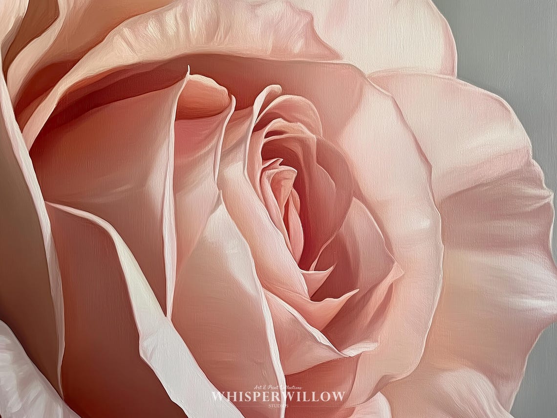 Soft Blush Pink Rose Flower Close Up Painterly Floral Poster - Image 6