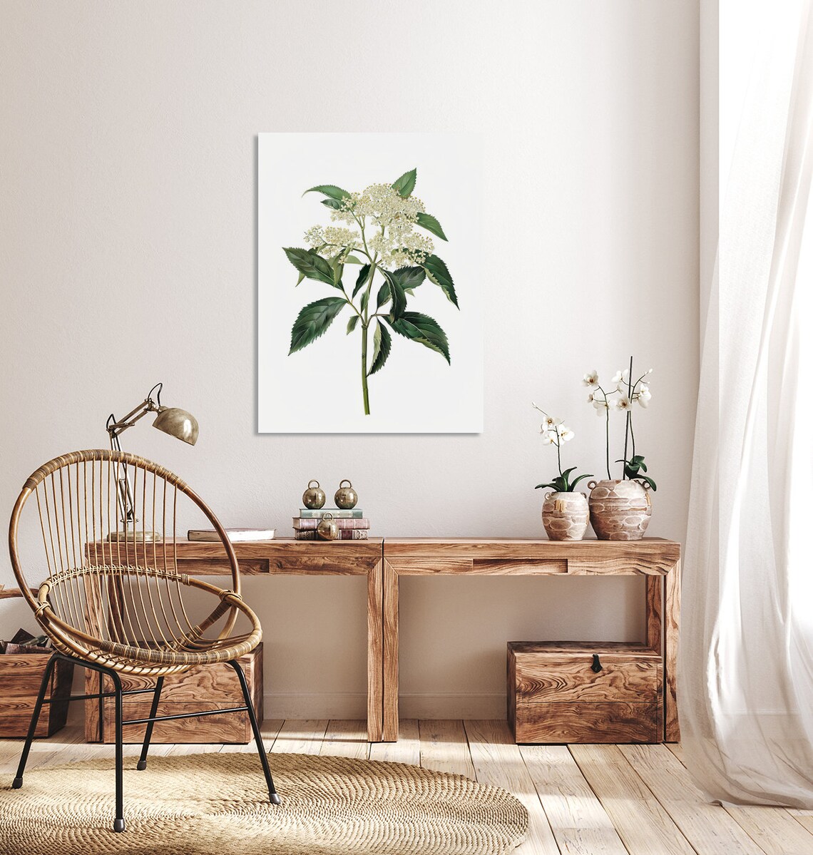 White Elderflower Vintage Botanical Illustration Antique Style Poster - Image 2