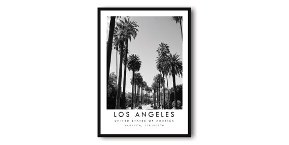 Los Angeles Black And White Palm Trees Art Print