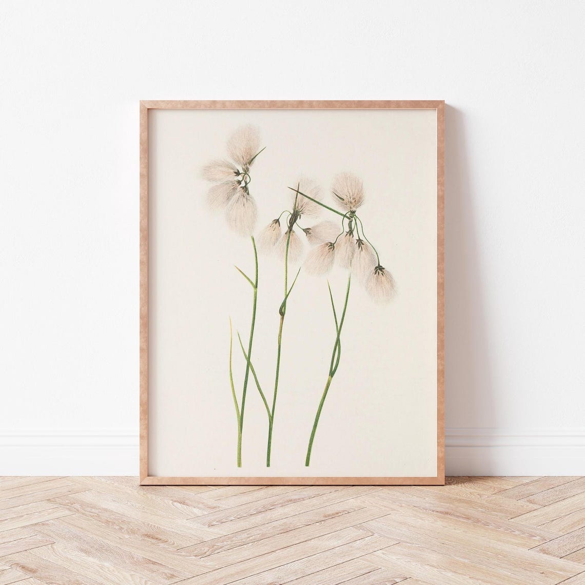 Vintage Botanical Seed Heads Delicate Wildflower Study Art Poster